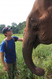 With elephant