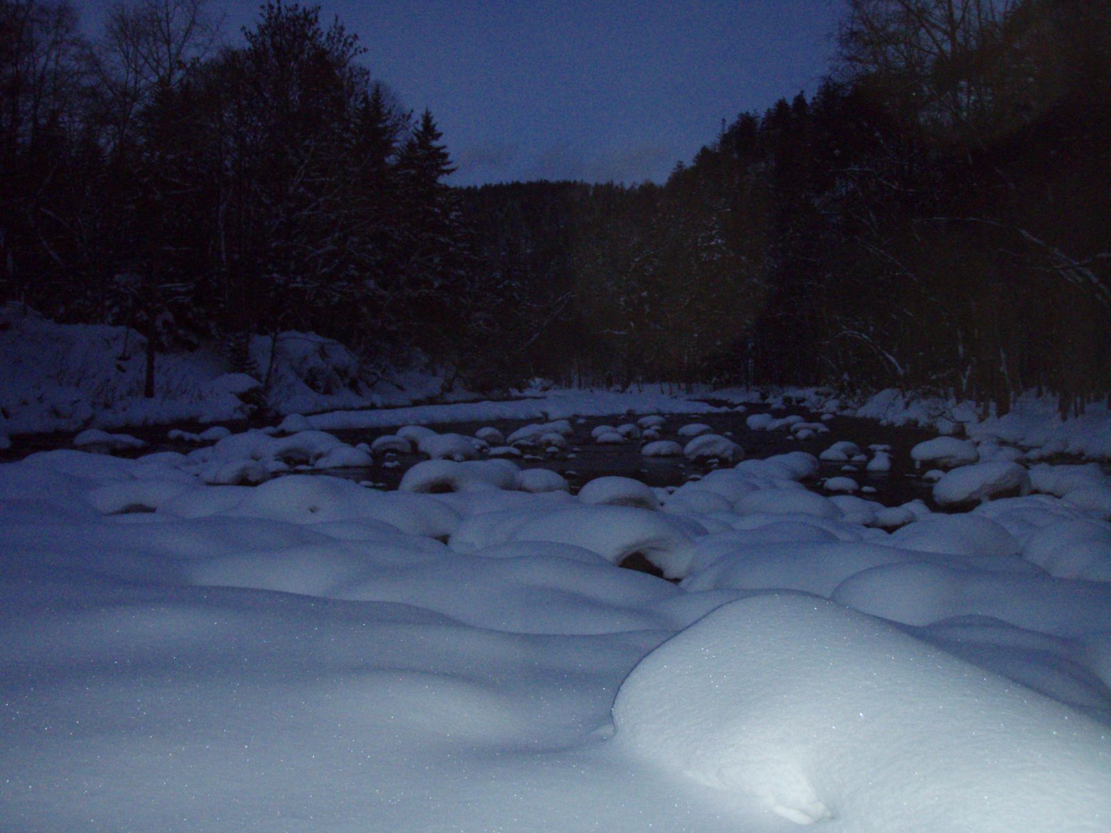 写真／冬の夜の川